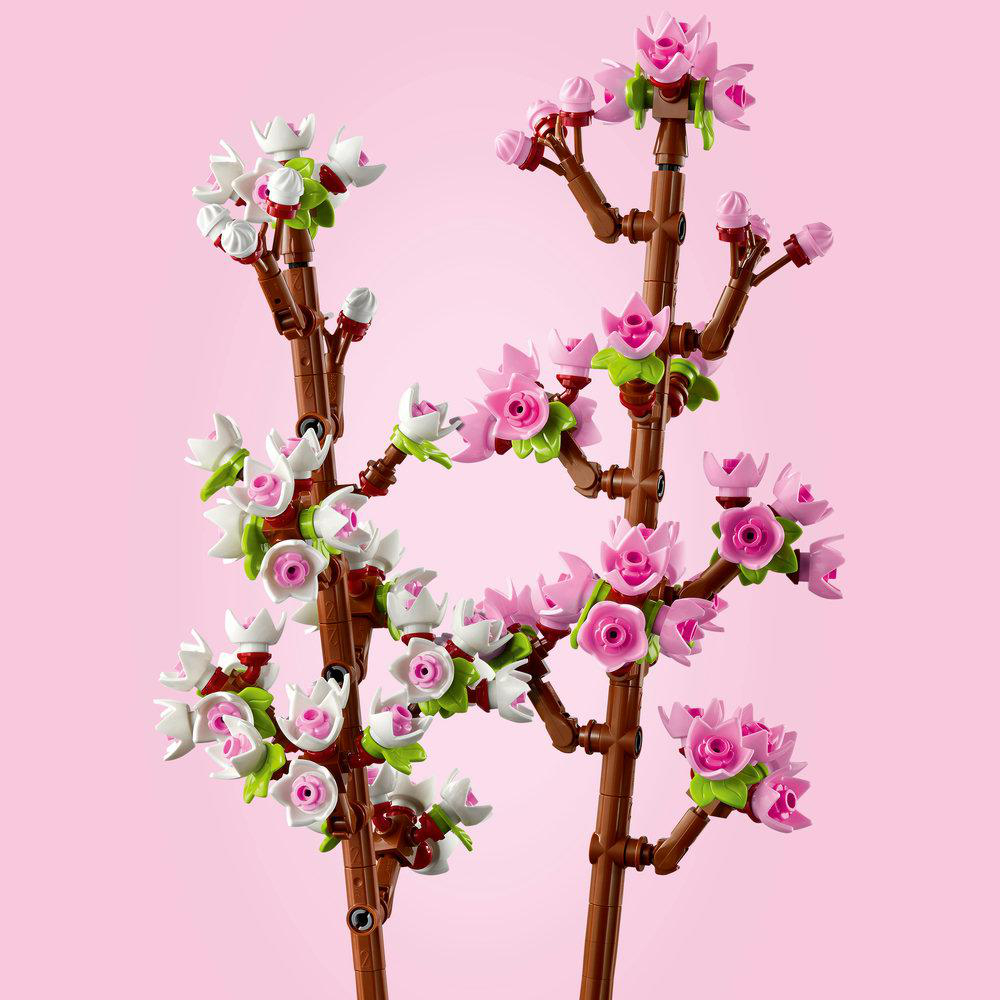 Zwei Zweige mit rosa und weißen Blüten auf braunen Stielen vor rosa Hintergrund.