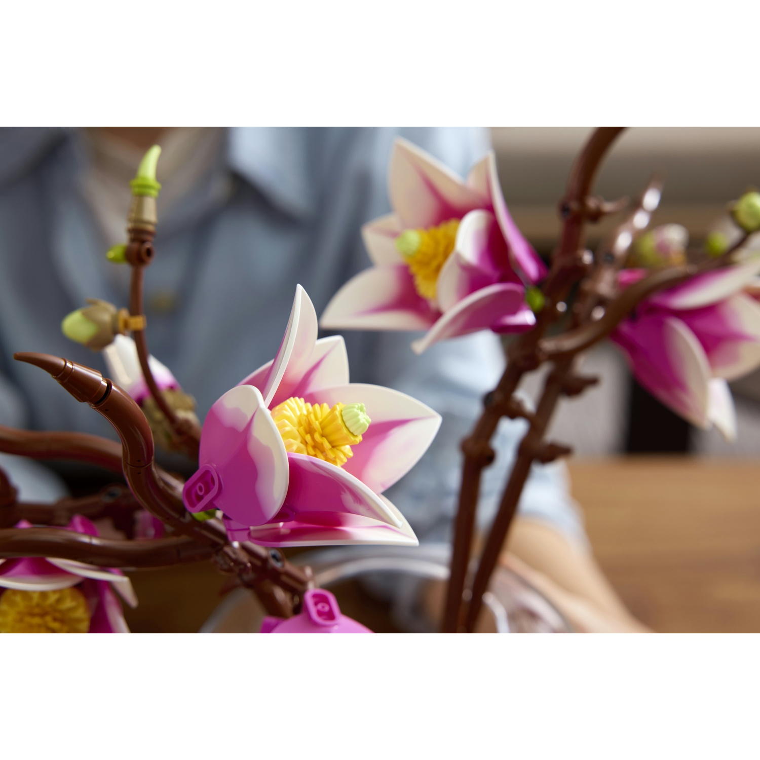 Primo piano di fiori di magnolia Lego viola e bianchi con centri gialli.