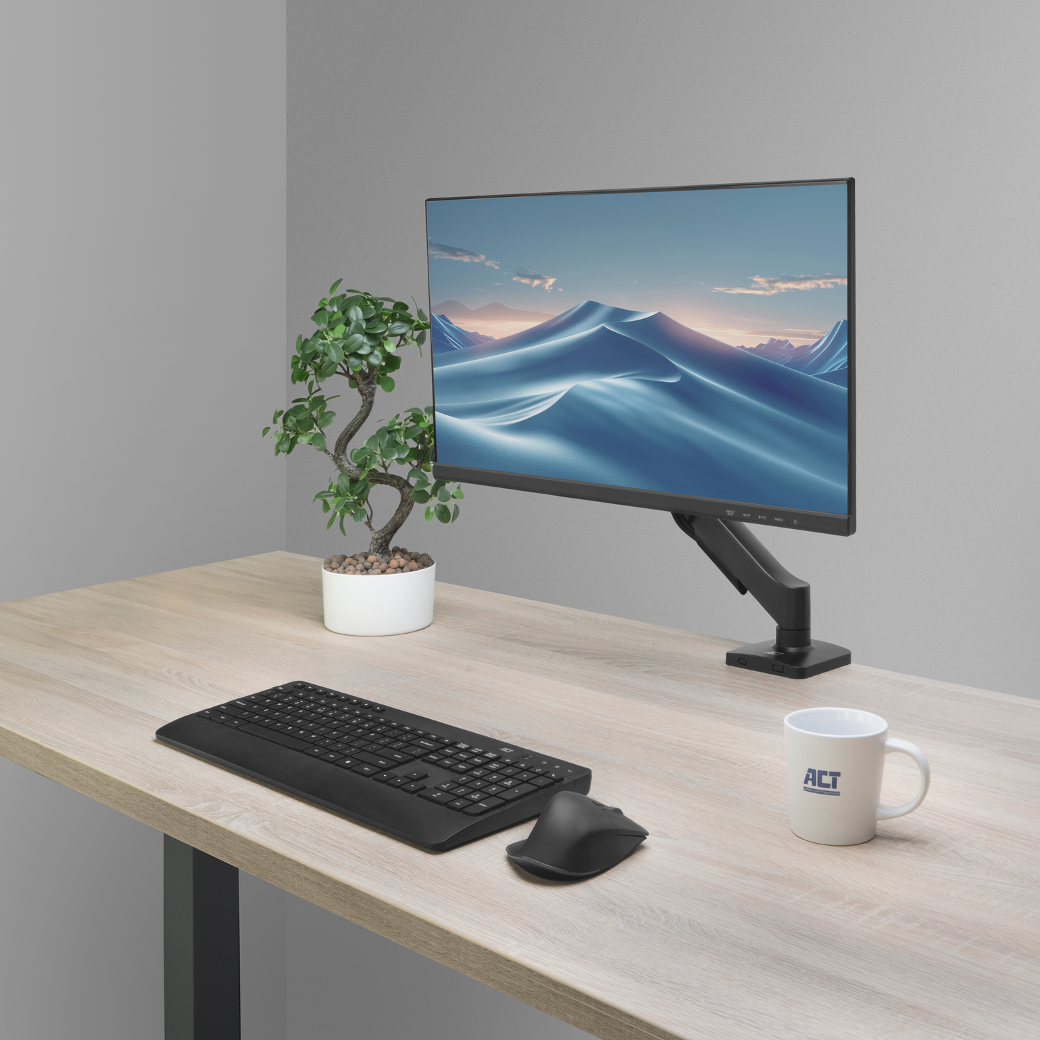 A desk with a monitor, keyboard, mouse, plant, and mug.