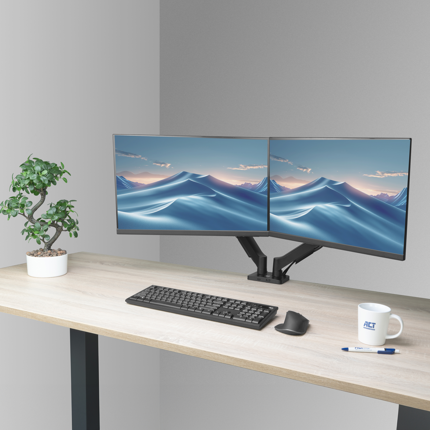 Desk with dual monitors, keyboard, mouse, plant, and mug.