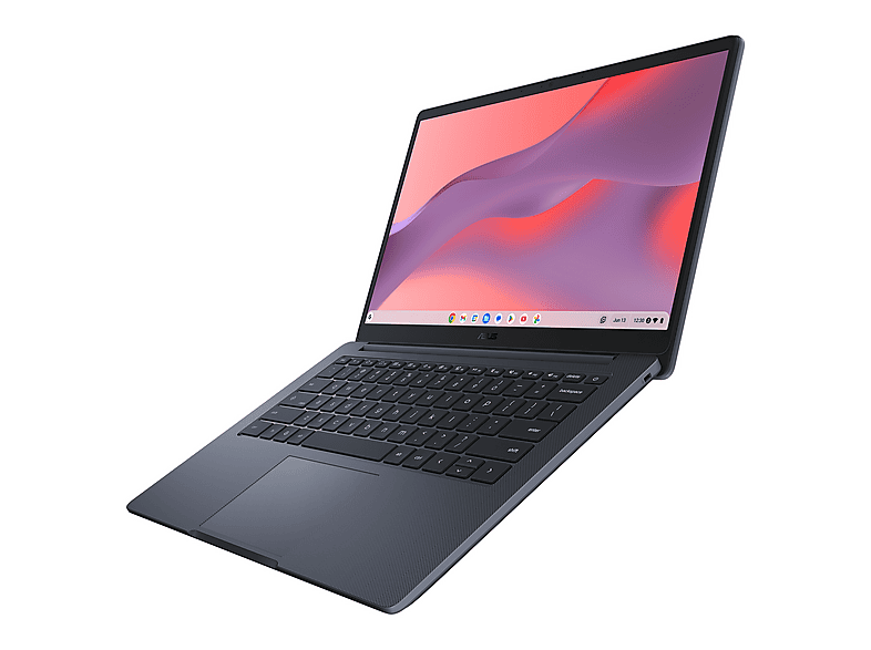 Vista 3
