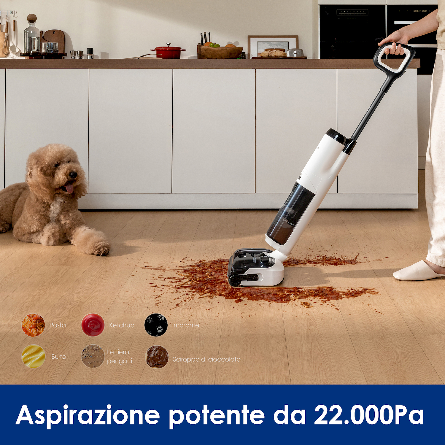 Un cane giace vicino a un aspirapolvere bagnato/asciutto che pulisce una macchia.