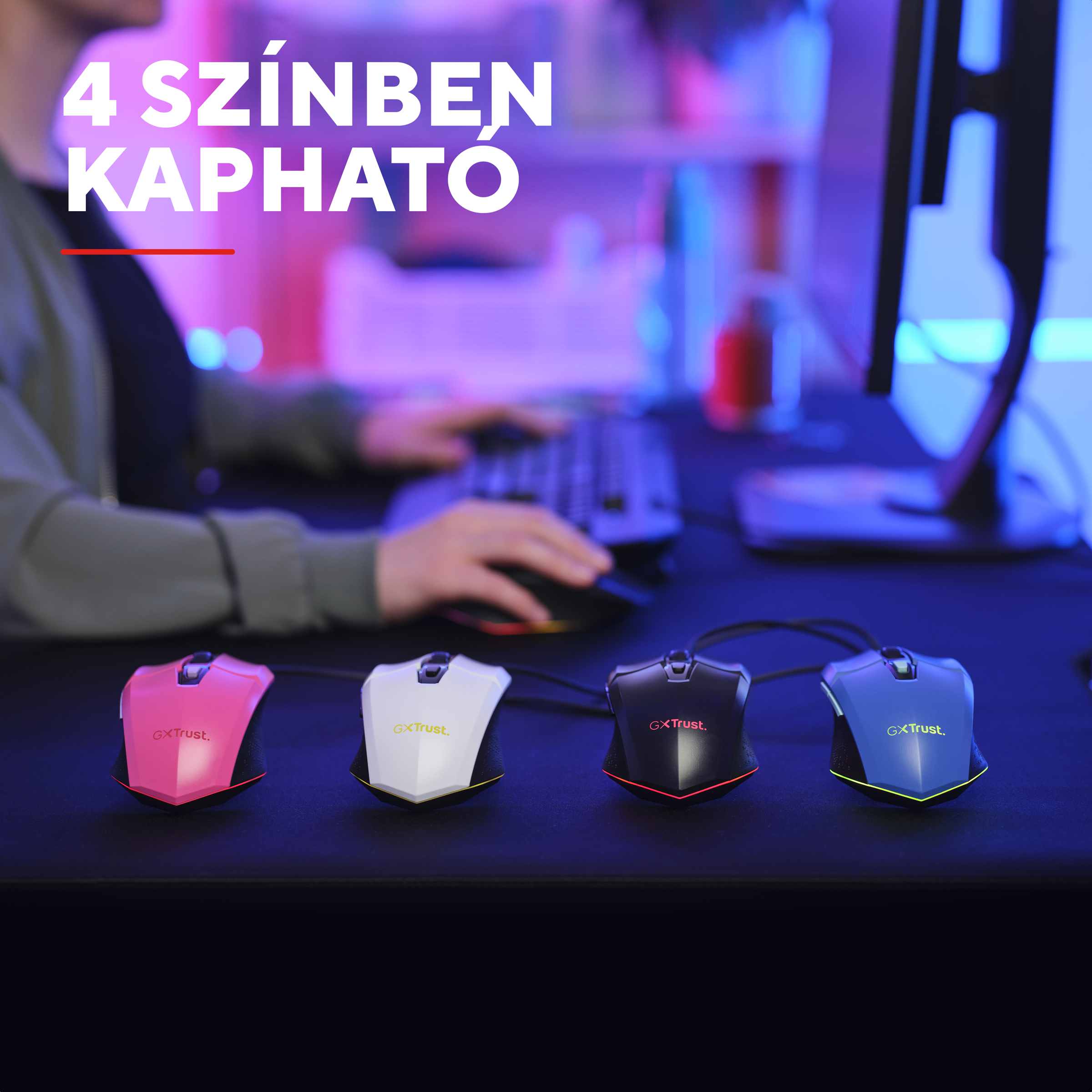Négy színes egér: rózsaszín, fehér, fekete és kék, egy asztalon.
