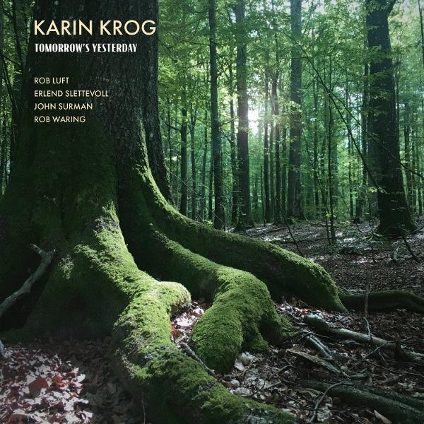 Moosbewachsene Baumwurzeln in einem sonnigen Wald. Text: KARIN KROG TOMORROW'S YESTERDAY
