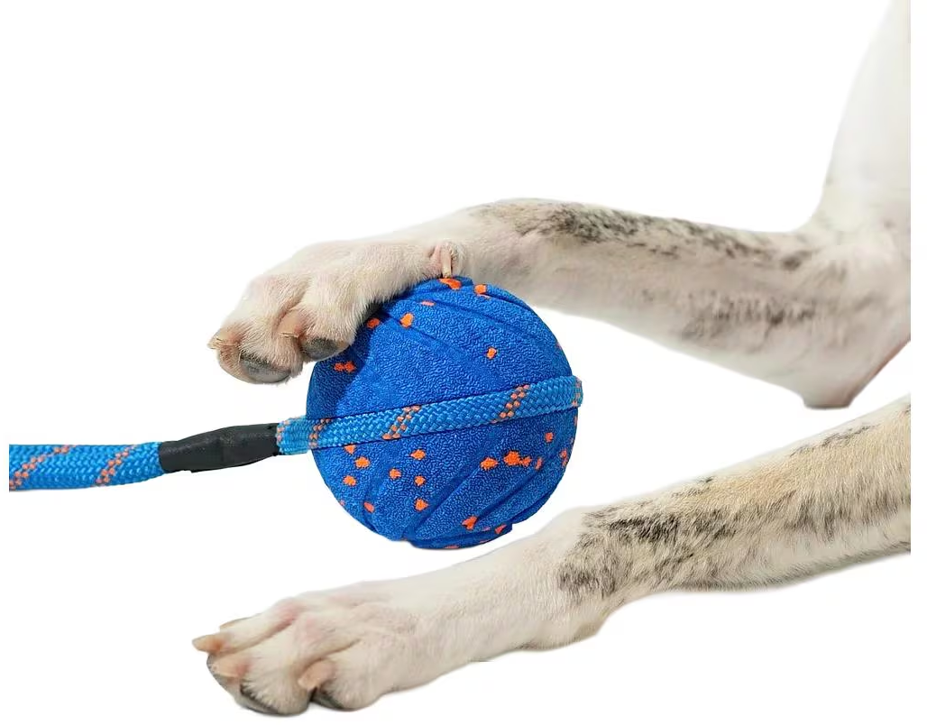 Una palla blu con pois arancioni e corda, tenuta da zampe di cane.