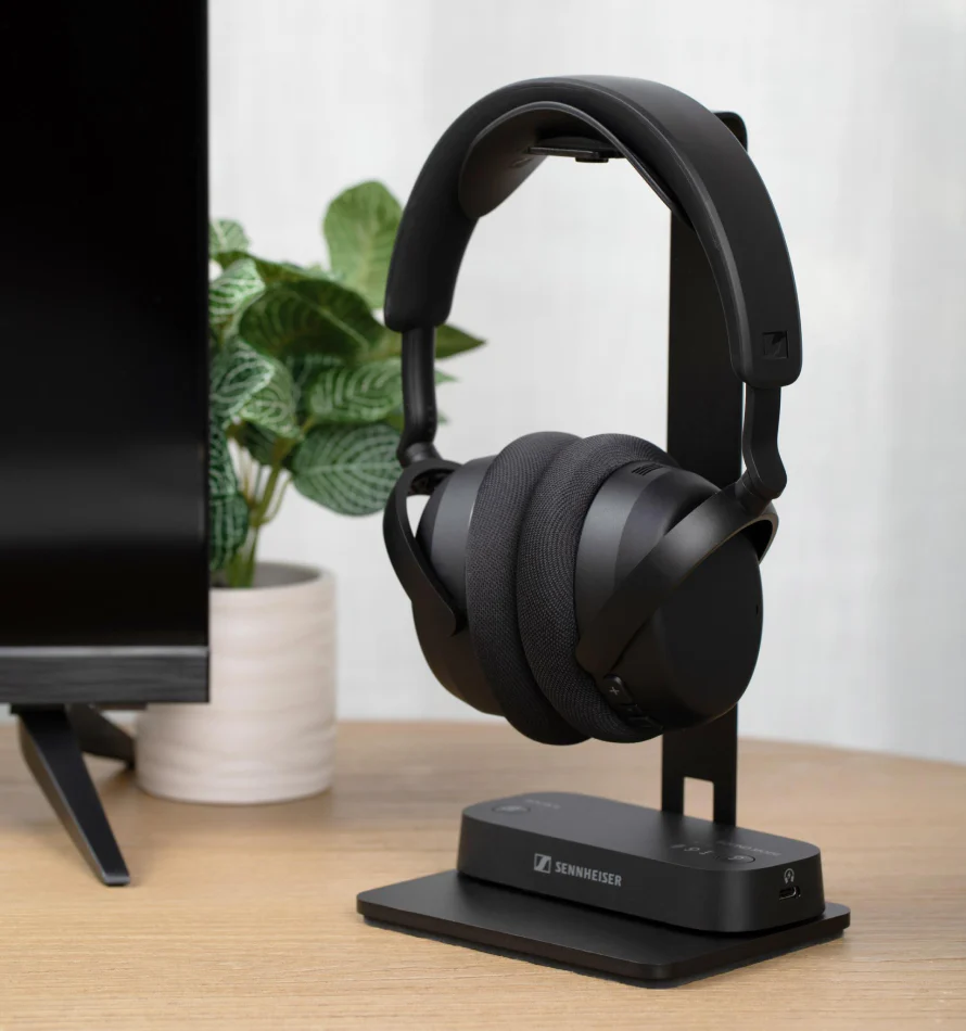 Casque noir sur un support à côté d'une plante verte en pot.