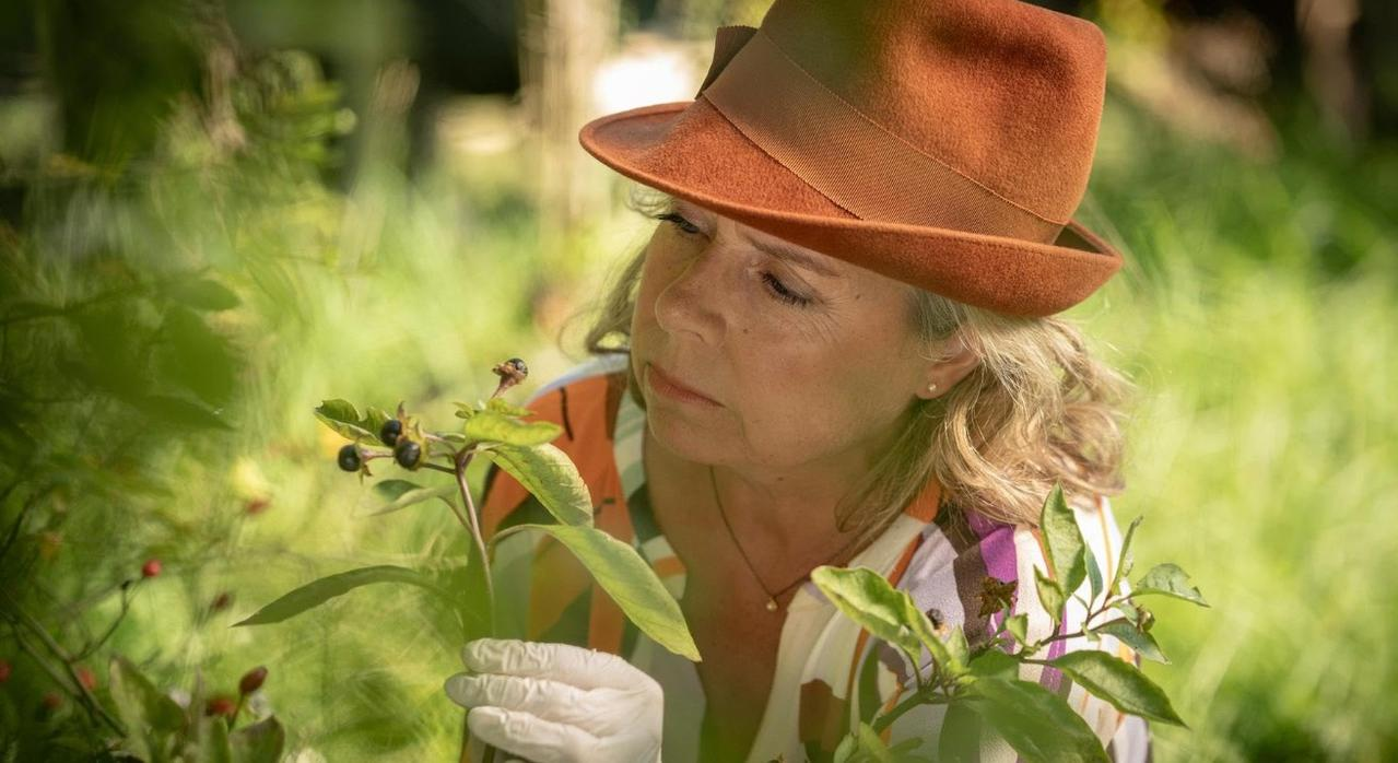 Frau mit braunem Hut untersucht Pflanze mit schwarzen Beeren im Garten.