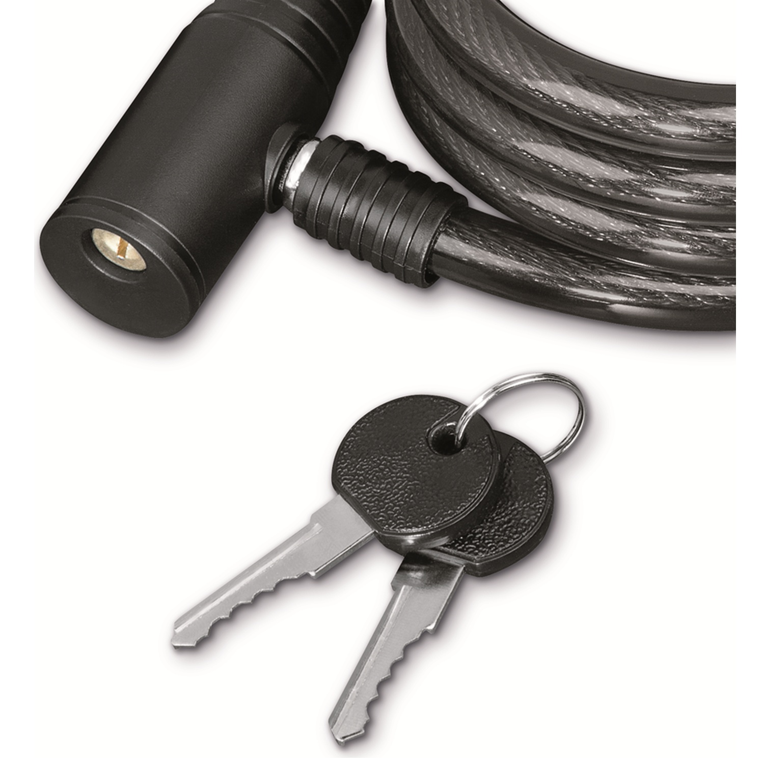 A black cable lock with two keys.