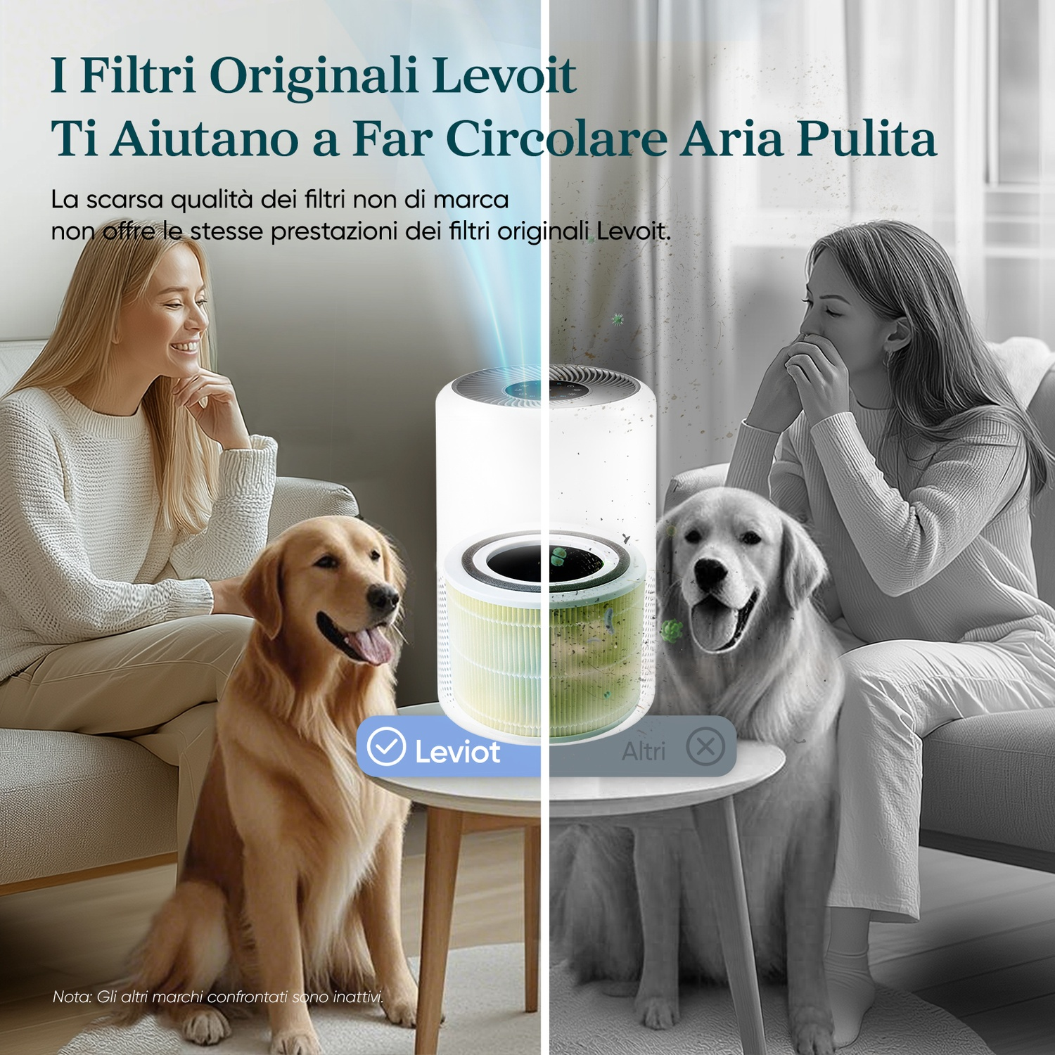 Donna e cane a sinistra, purificatore d'aria al centro, donna si tappa il naso a destra.