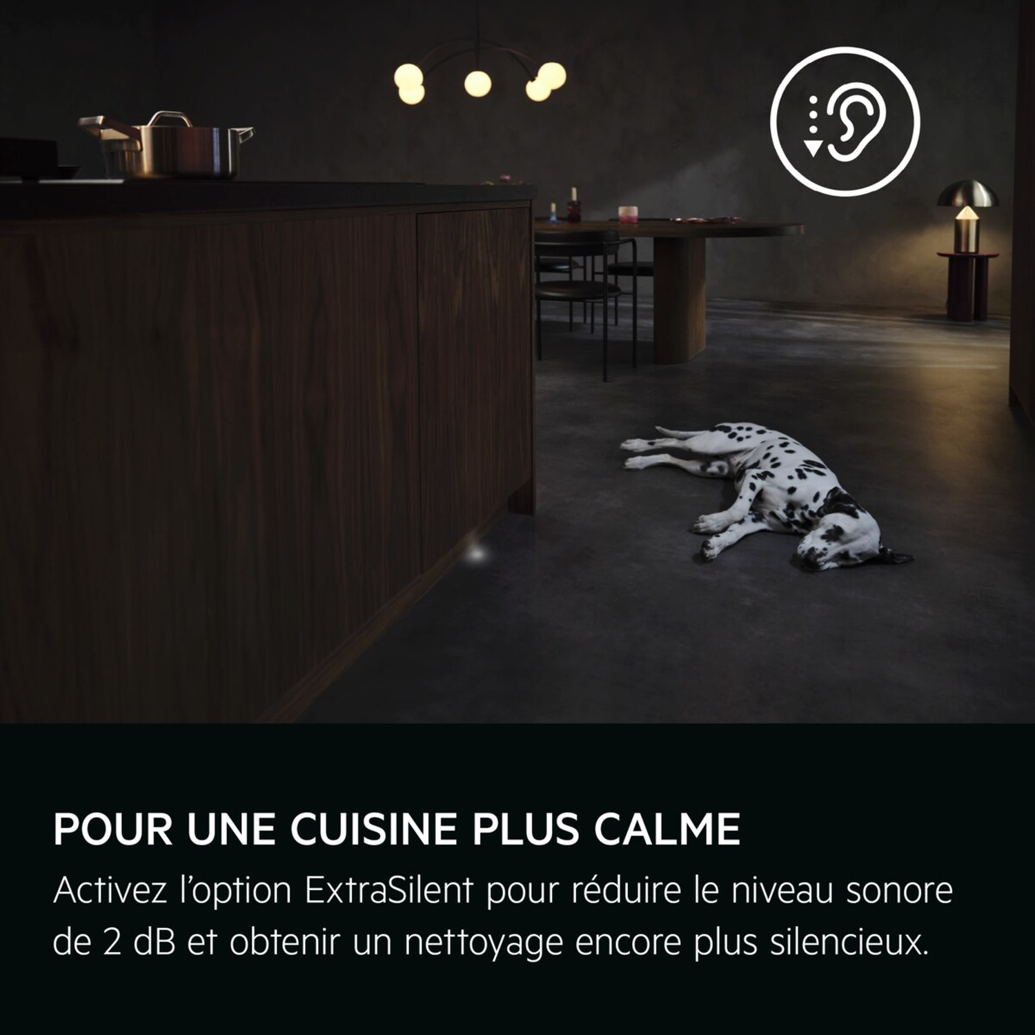 Un chien dalmatien se repose au sol dans une cuisine moderne. Une icône d'oreille est affichée.