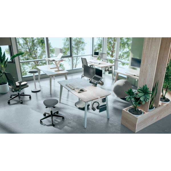 Modernes Büro mit Stehtischen, Stühlen, Laptops und Pflanzen an großen Fenstern.
