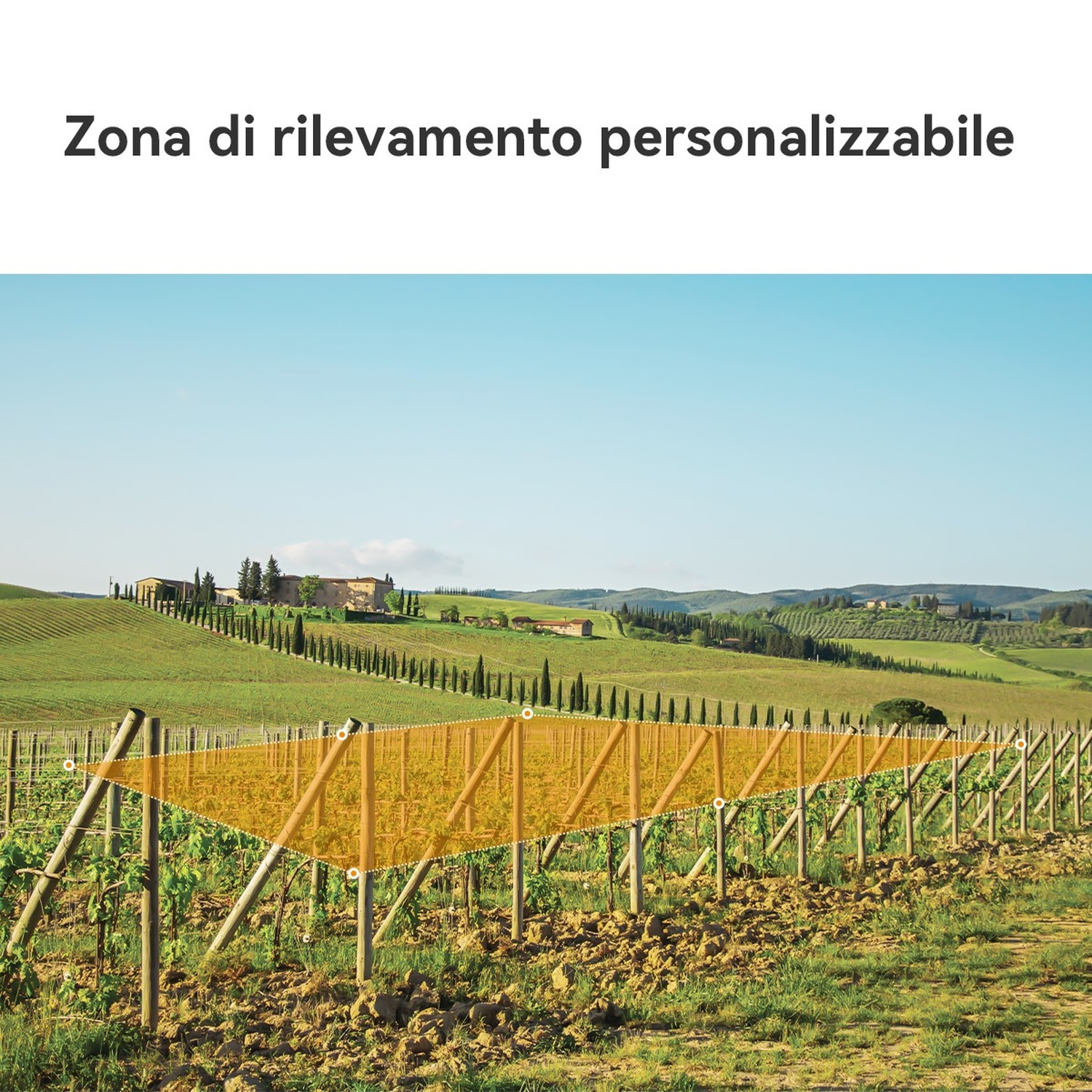 Vigneto con segno giallo, cascina in lontananza.