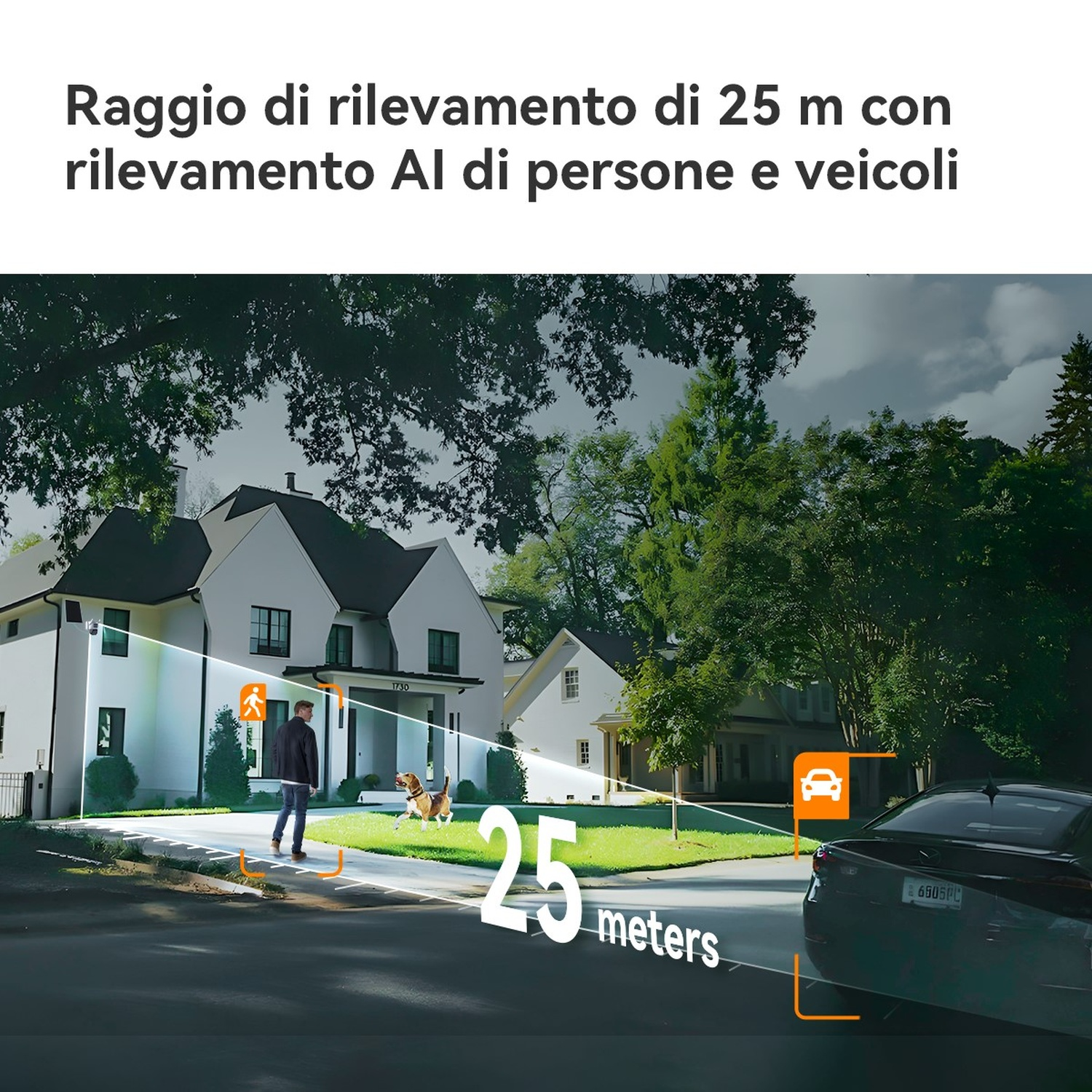 Una villa bianca con uomo e cane sul prato, raggio di 25m.