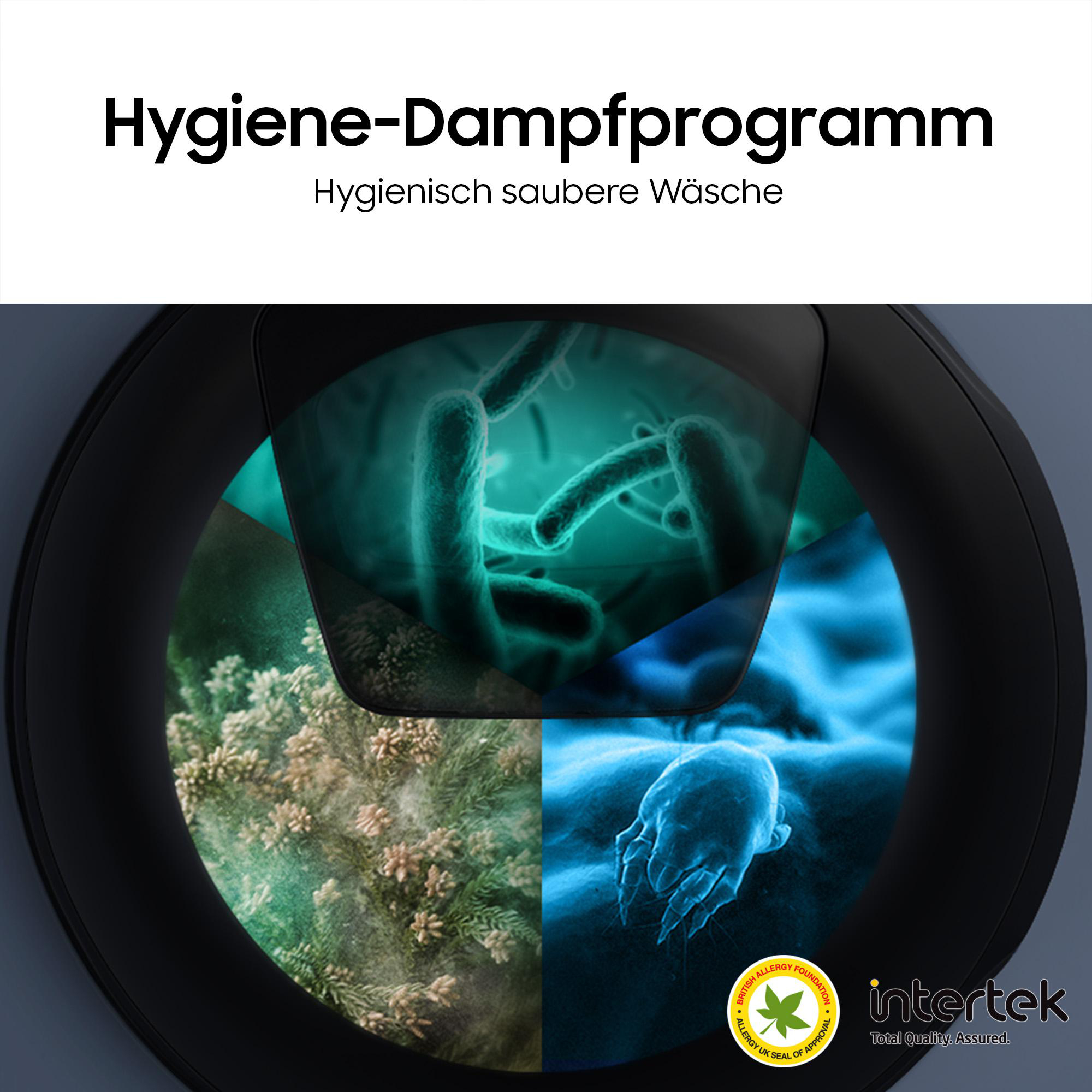 Bildschirm zeigt Bakterien, Staub und Milben; Text: Hygiene-Dampfprogramm.