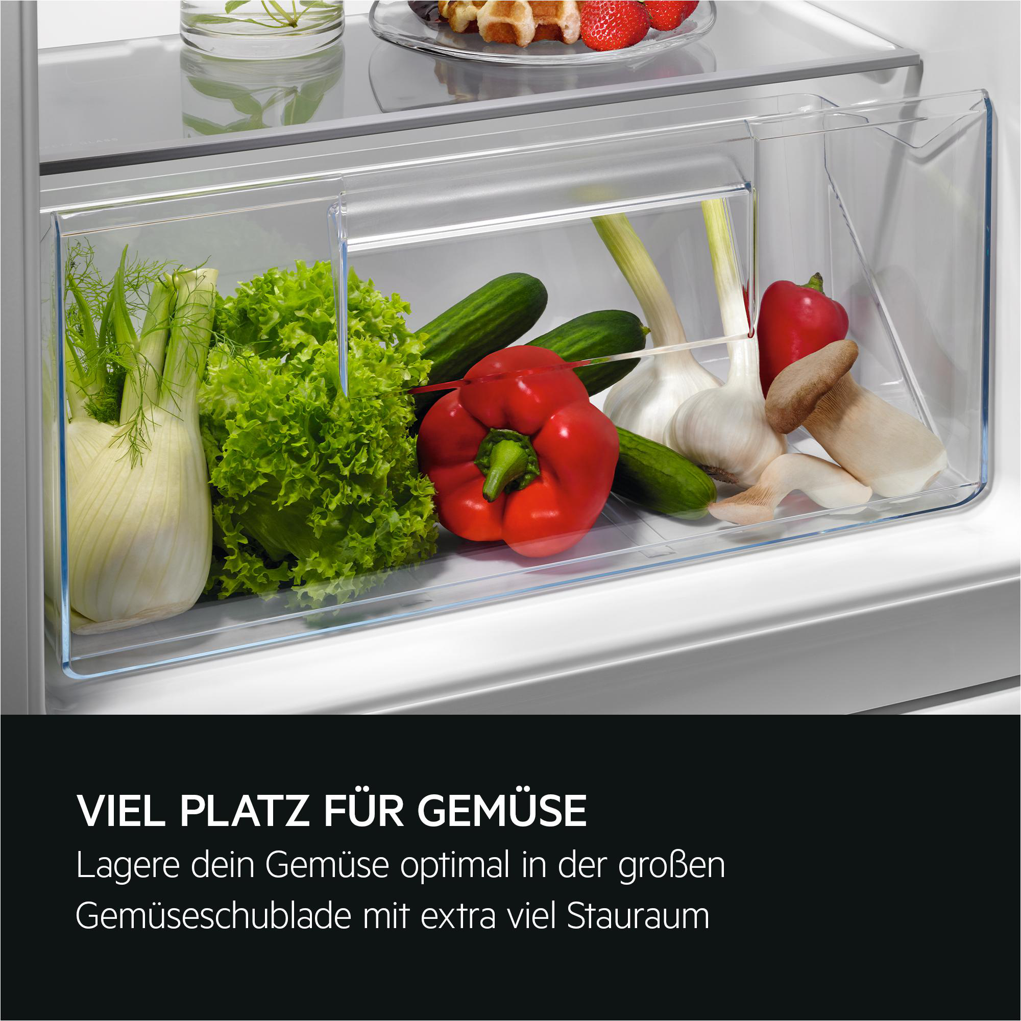 Gemüseschublade mit Fenchel, Salat, Gurken, Paprika, Knoblauch und Pilzen.