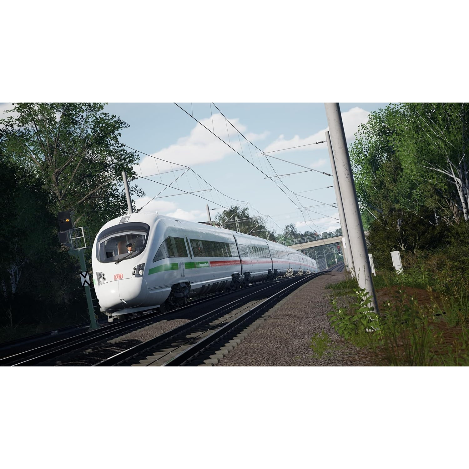 Een witte ICE-trein rijdt over sporen door een groen, bosrijk landschap.