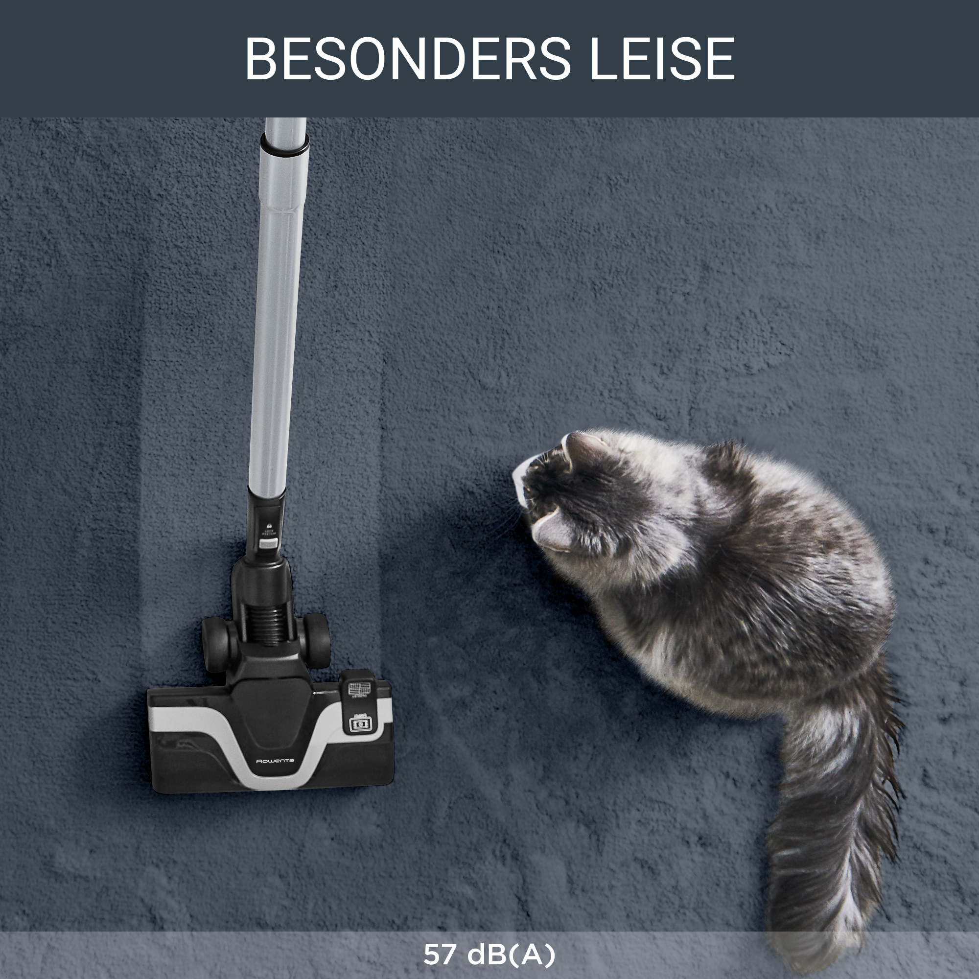 Ein Staubsauger und eine Katze auf einem dunklen Teppich. Text: BESONDERS LEISE