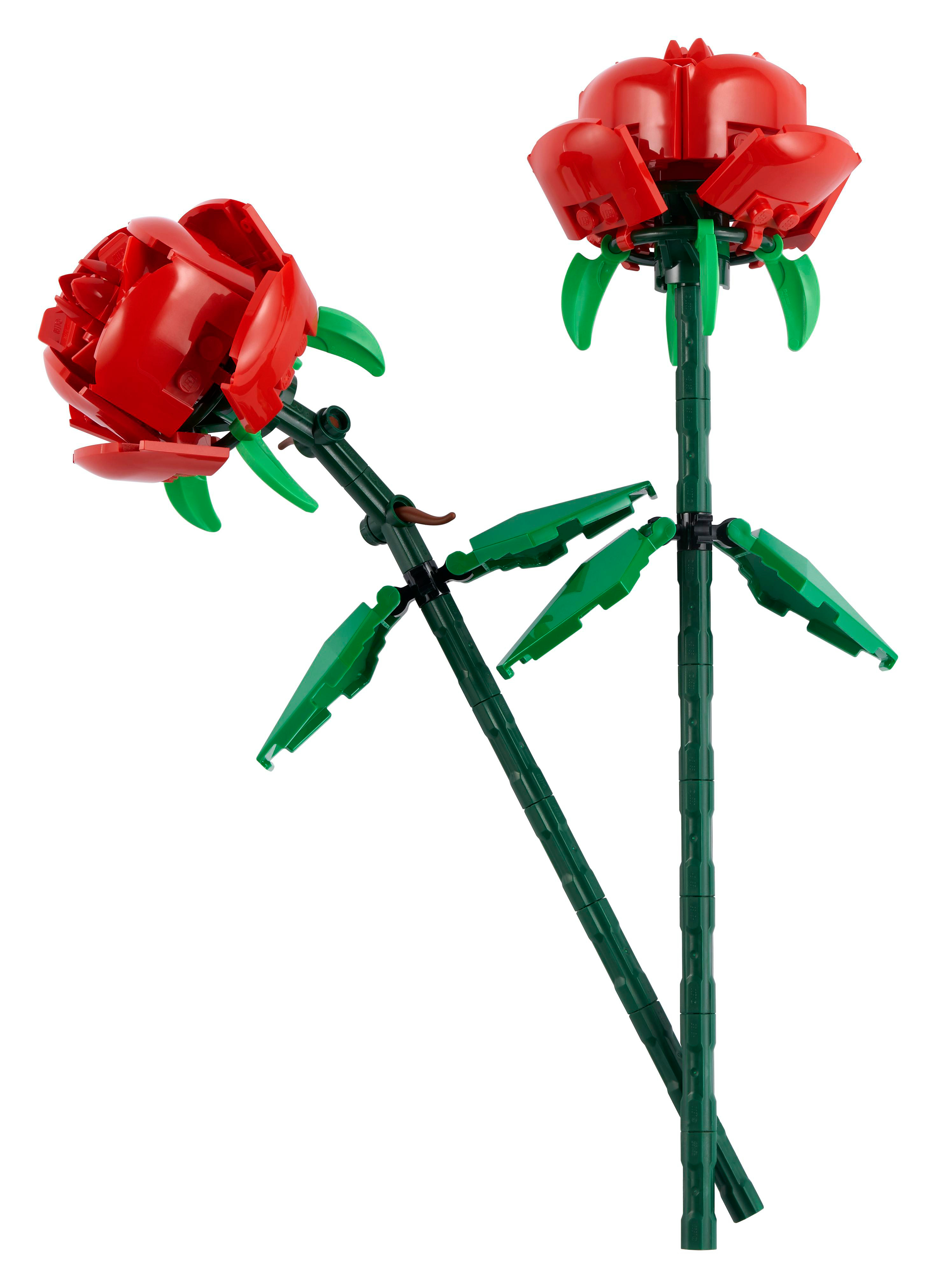 Zwei rote Lego-Rosen mit grünen Blättern auf weißen Hintergrund.
