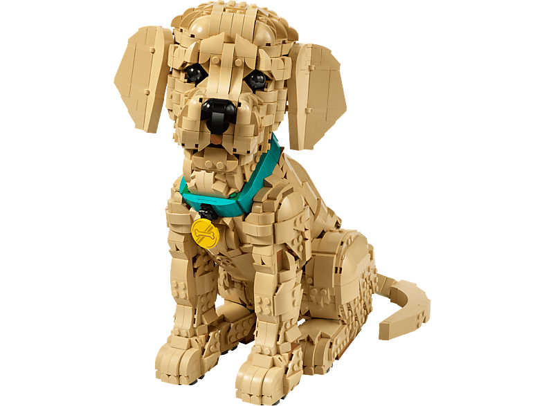 Lego Icons 11384 - Golden Retriever Puppy Bouwstenen afbeelding