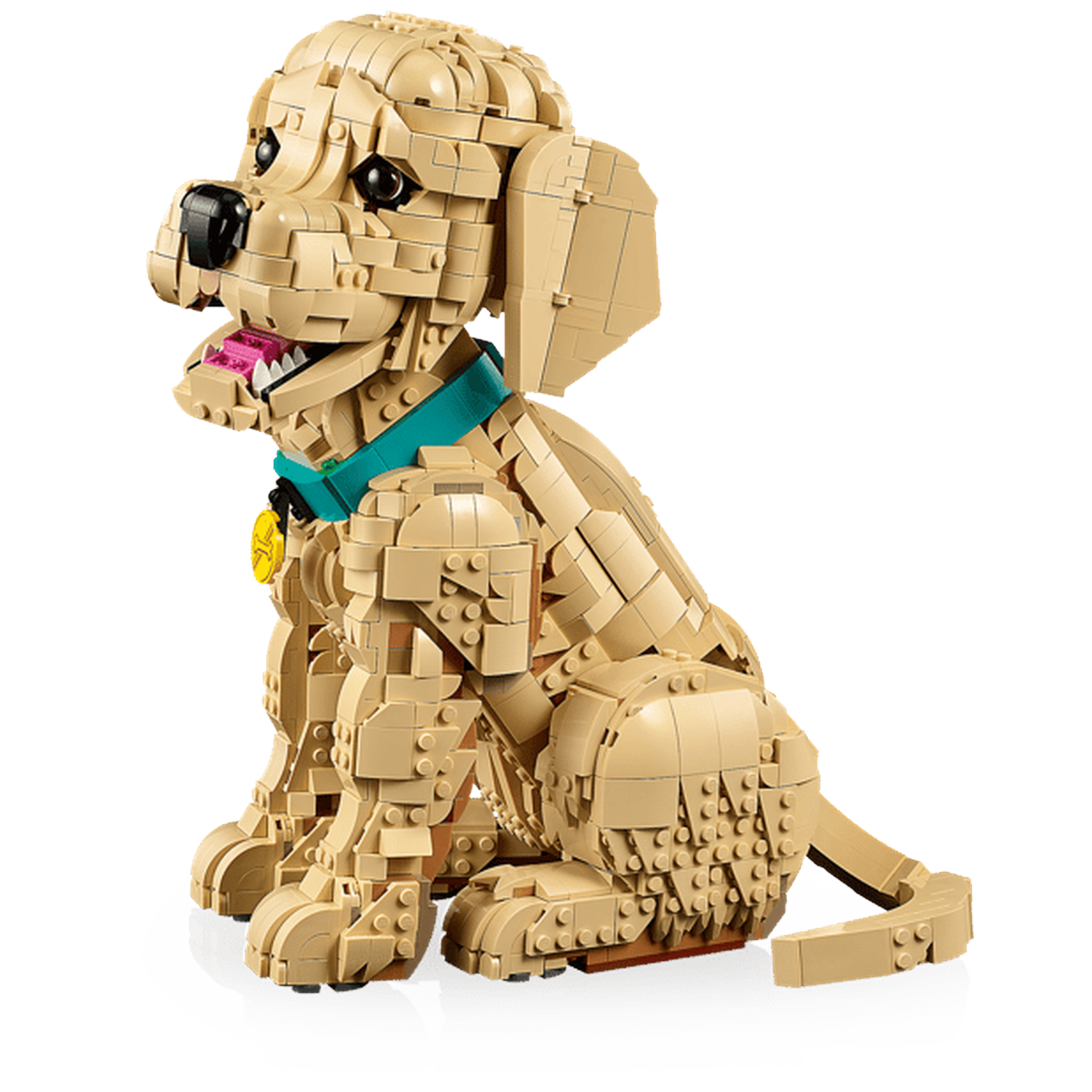 Een beige Lego hond zit op zwarte achtergrond met een turkooizen halsband.