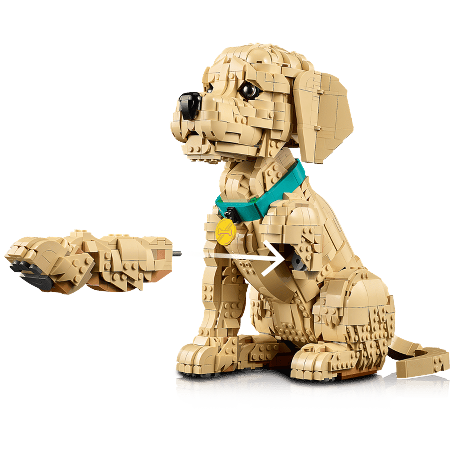 Een Lego hondenmodel met een afneembaar pootje, op zwarte achtergrond.