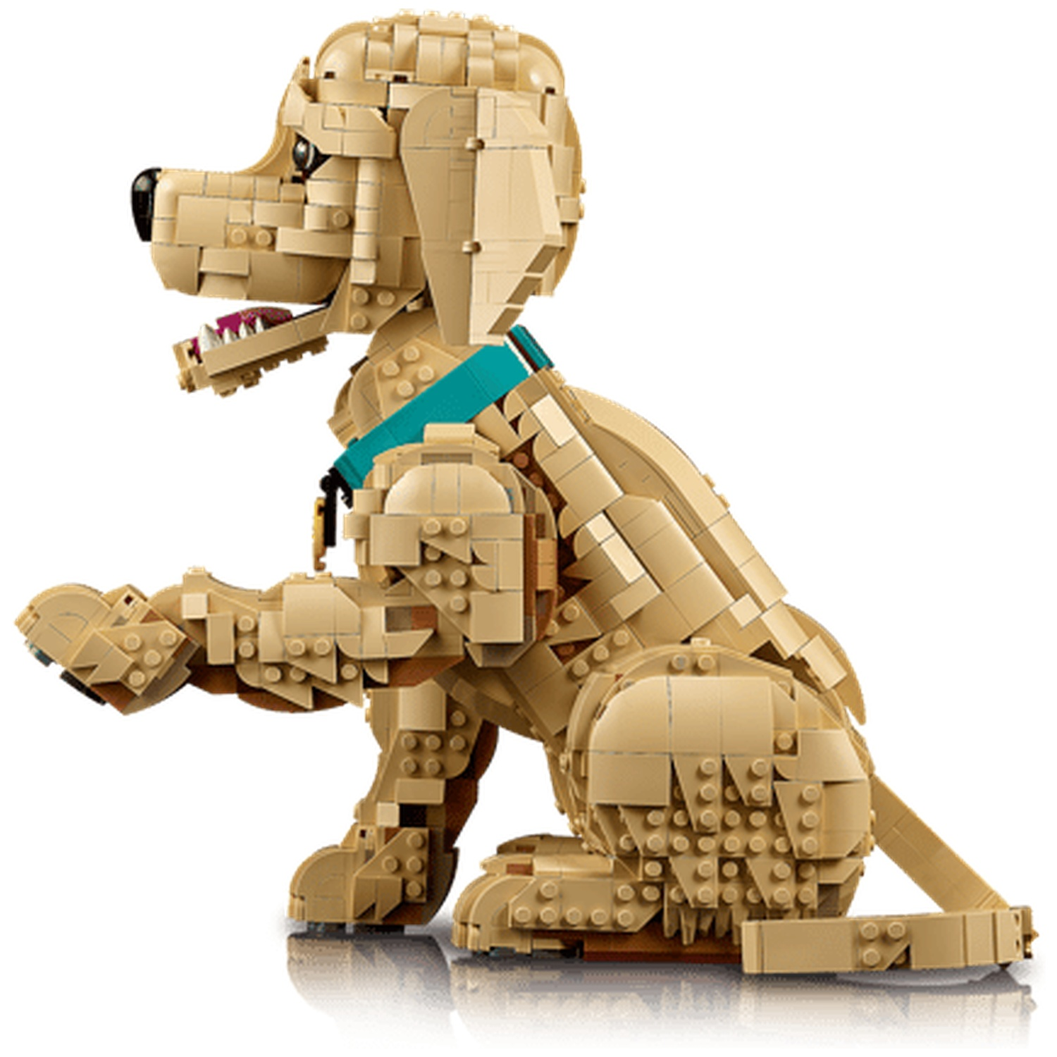 Een zandkleurige Lego Golden Retriever zit met een poot omhoog, draagt een teal halsband.