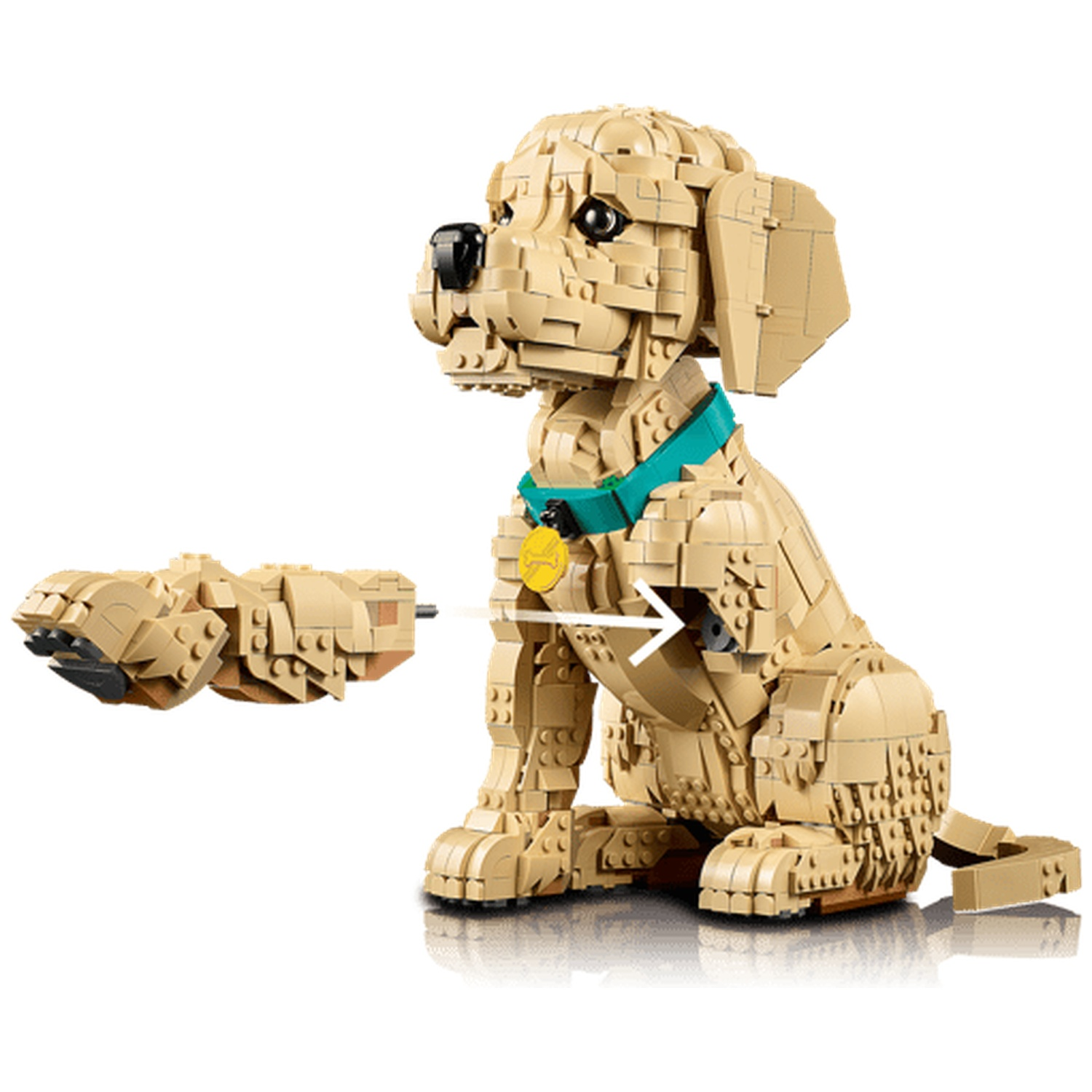 Een beige Lego-hond zit met een blauwe halsband en penning, een poot los.