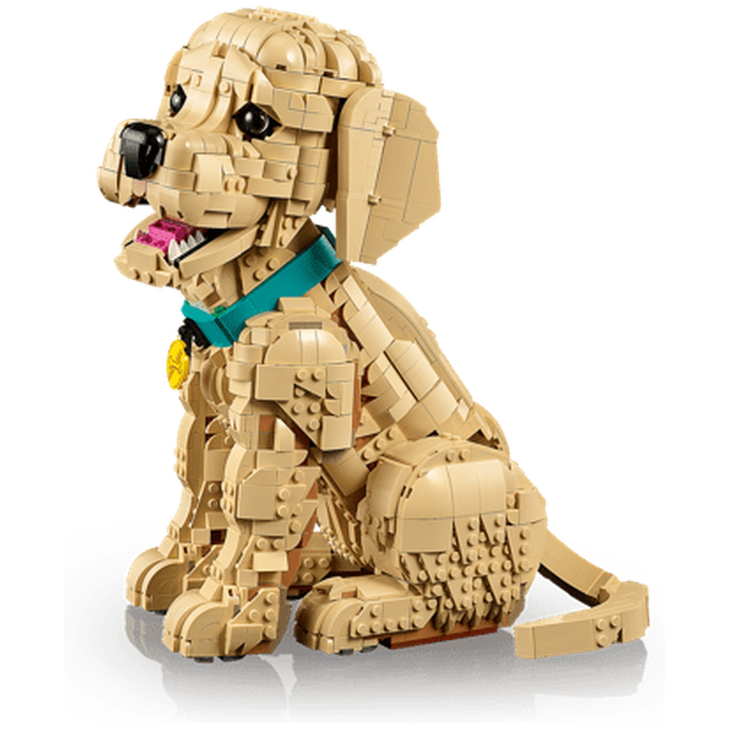 Een beige Lego hond zit met een turquoise halsband en penning.