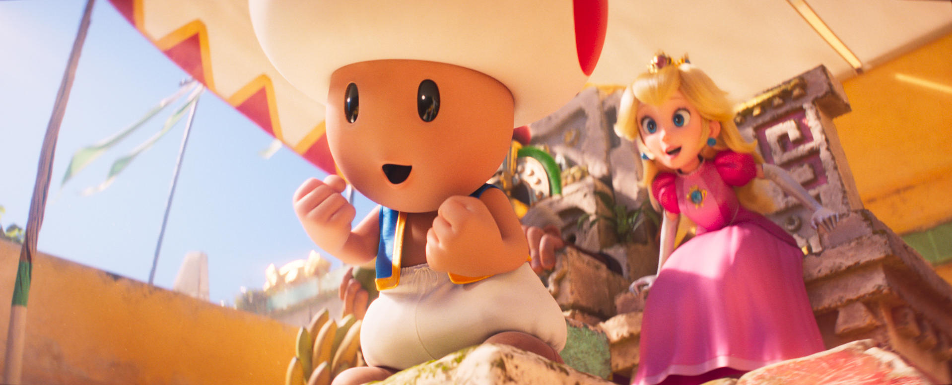 Toad und Prinzessin Peach stehen auf einer Steinplattform, eine Flagge weht im Hintergrund.