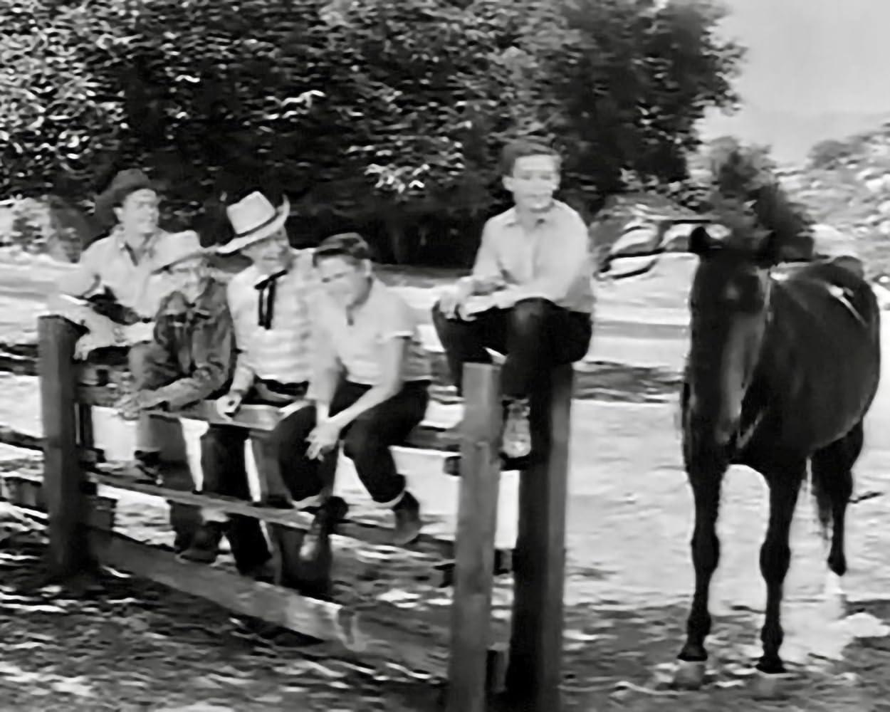 Jungen in Westernkleidung sitzen auf einem Zaun mit einem Pferd in der Nähe.