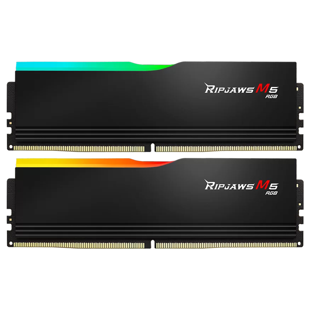 Altın temaslı pinlere ve RGB aydınlatmaya sahip iki siyah RAM bellek.
