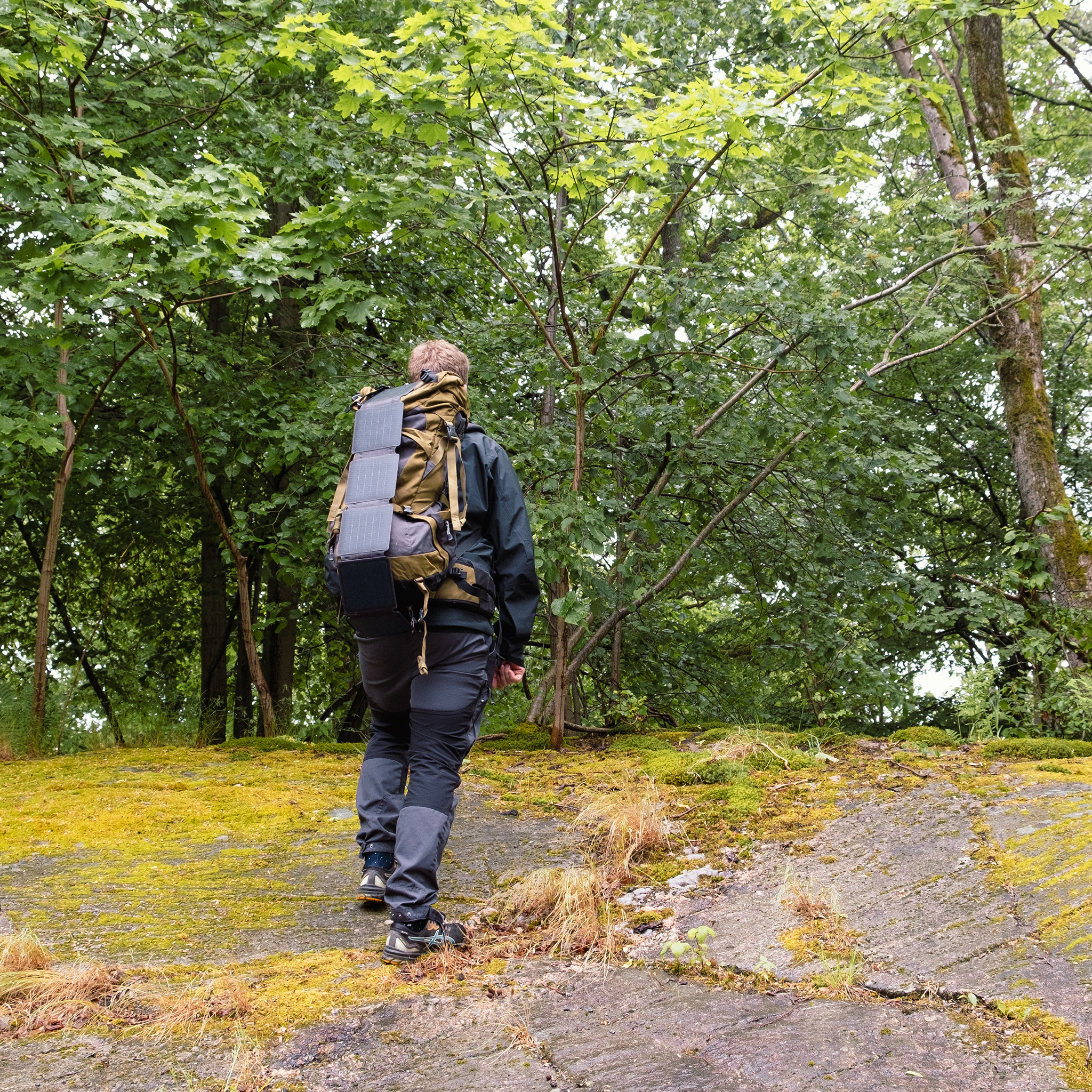 Ein Wanderer mit Rucksack und Solarpanel geht durch einen Wald.