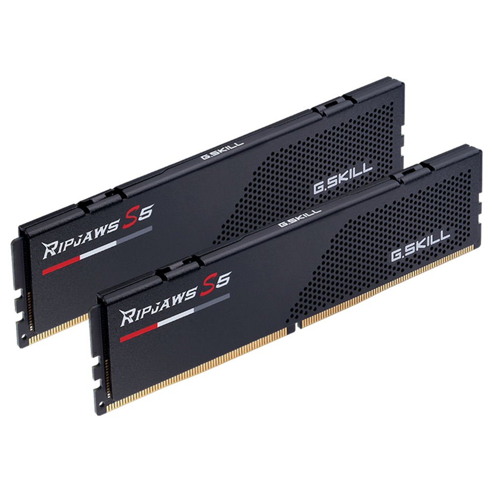 Altın kontaklı iki siyah G.Skill Ripjaws S5 RAM modülü.