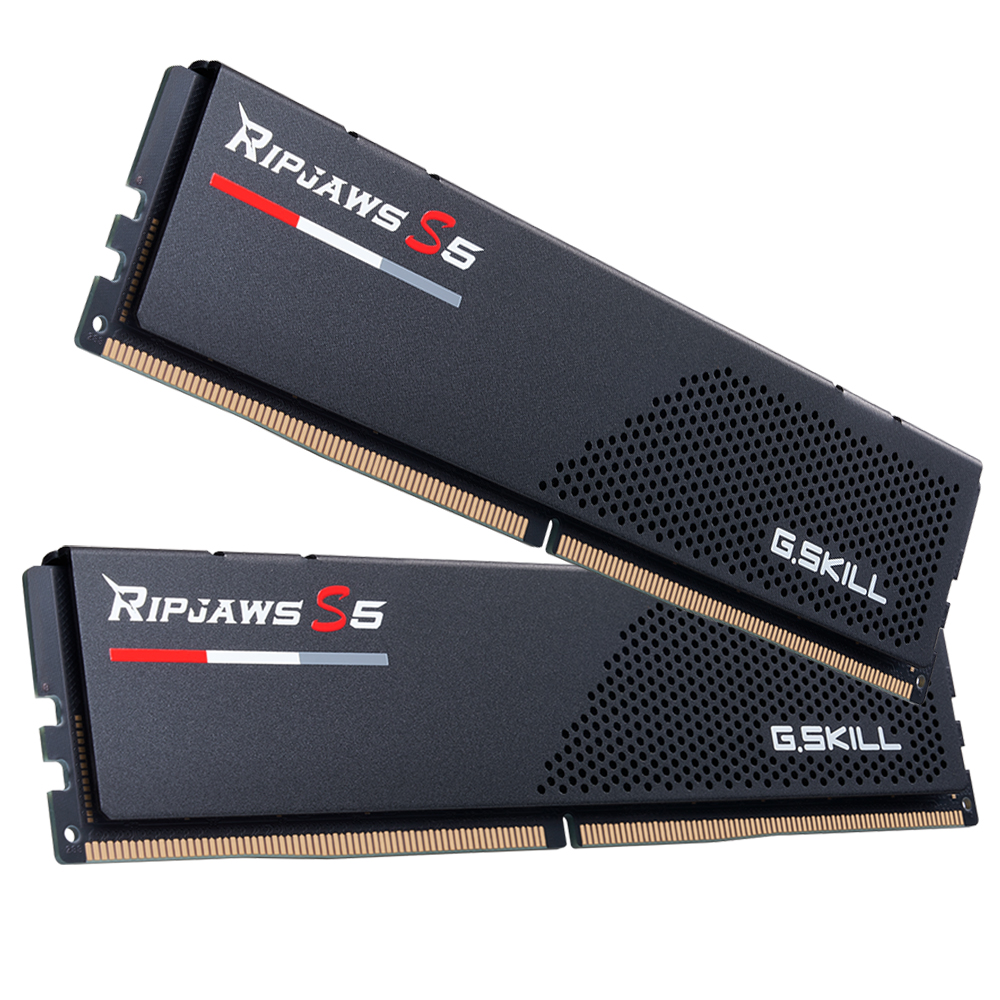 Altın kontaklı iki siyah G.SKILL Ripjaws S5 RAM modülü.