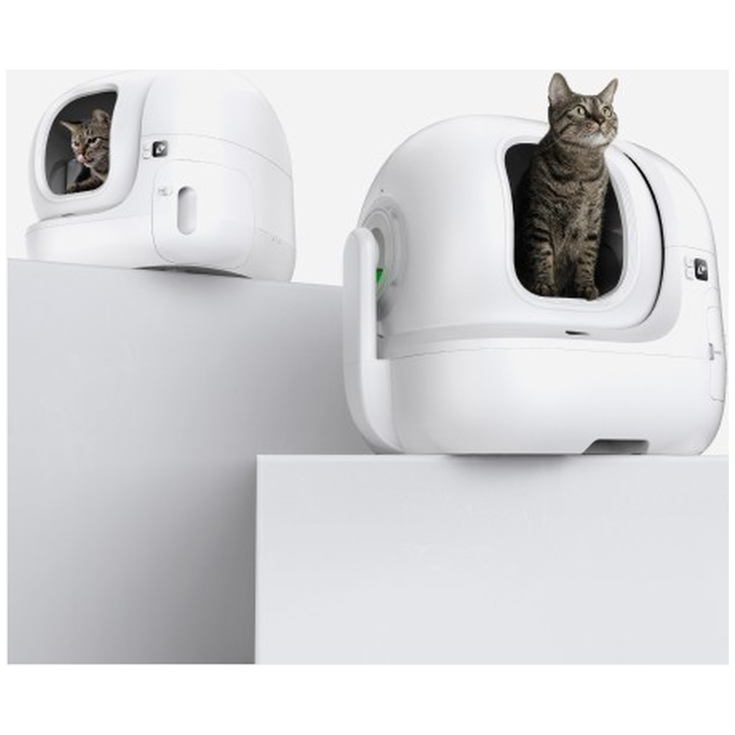Two cats inside white, futuristic litter boxes on white pedestals.