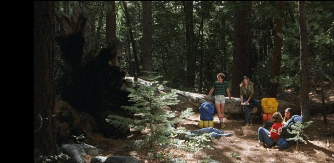 Jugendliche mit Rucksäcken im Wald, die auf einem Baumstamm sitzen und liegen.