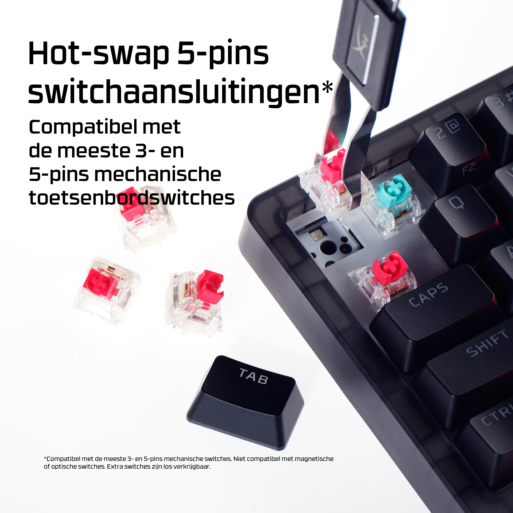Rode en blauwe toetsenbord switches bij een toetsenbord-socket met tool.