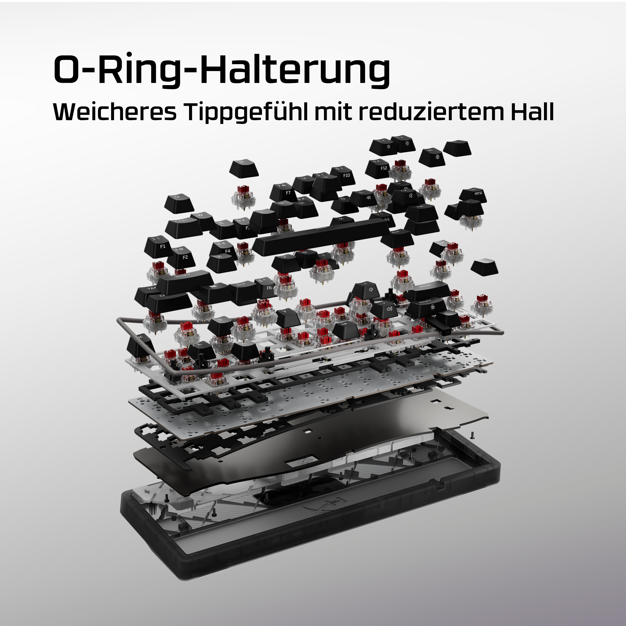 Explosionsansicht einer Tastatur mit Tasten, Schaltern und internen Komponenten.