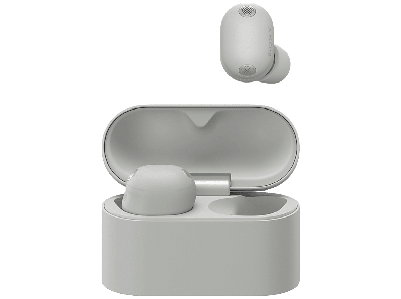 Sony Wf-1000xm6 In-ear Draadloze Oordopjes Zilver
