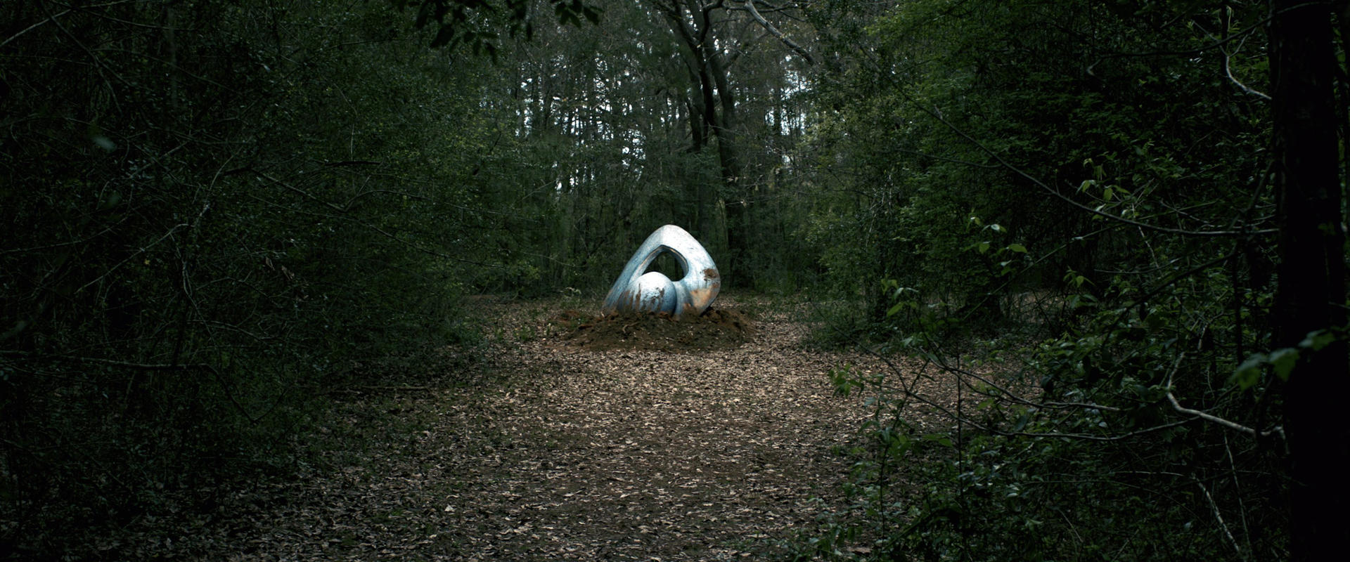 Eine weiße Skulptur mit einem Loch in einem dunklen Wald auf einem Blätterpfad.