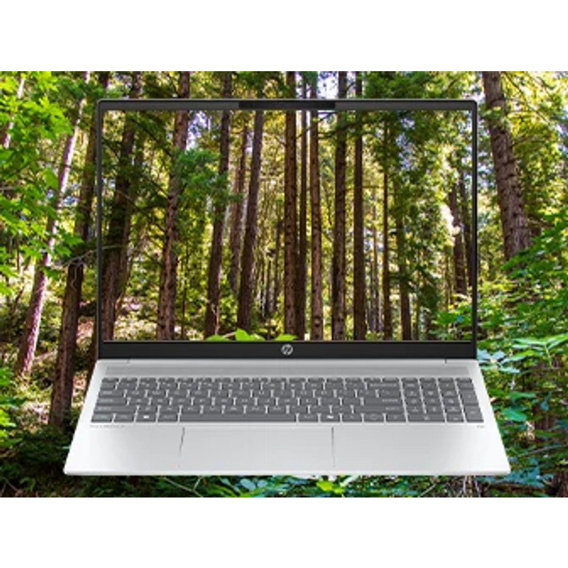 Srebrny laptop z klawiaturą przed lasem wysokich drzew.