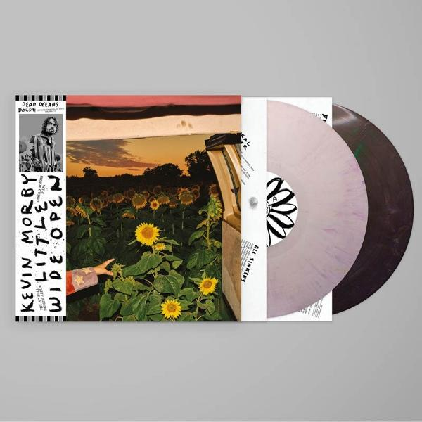 Plattencover mit Sonnenblumenfeld und Vinyl-Schallplatten.