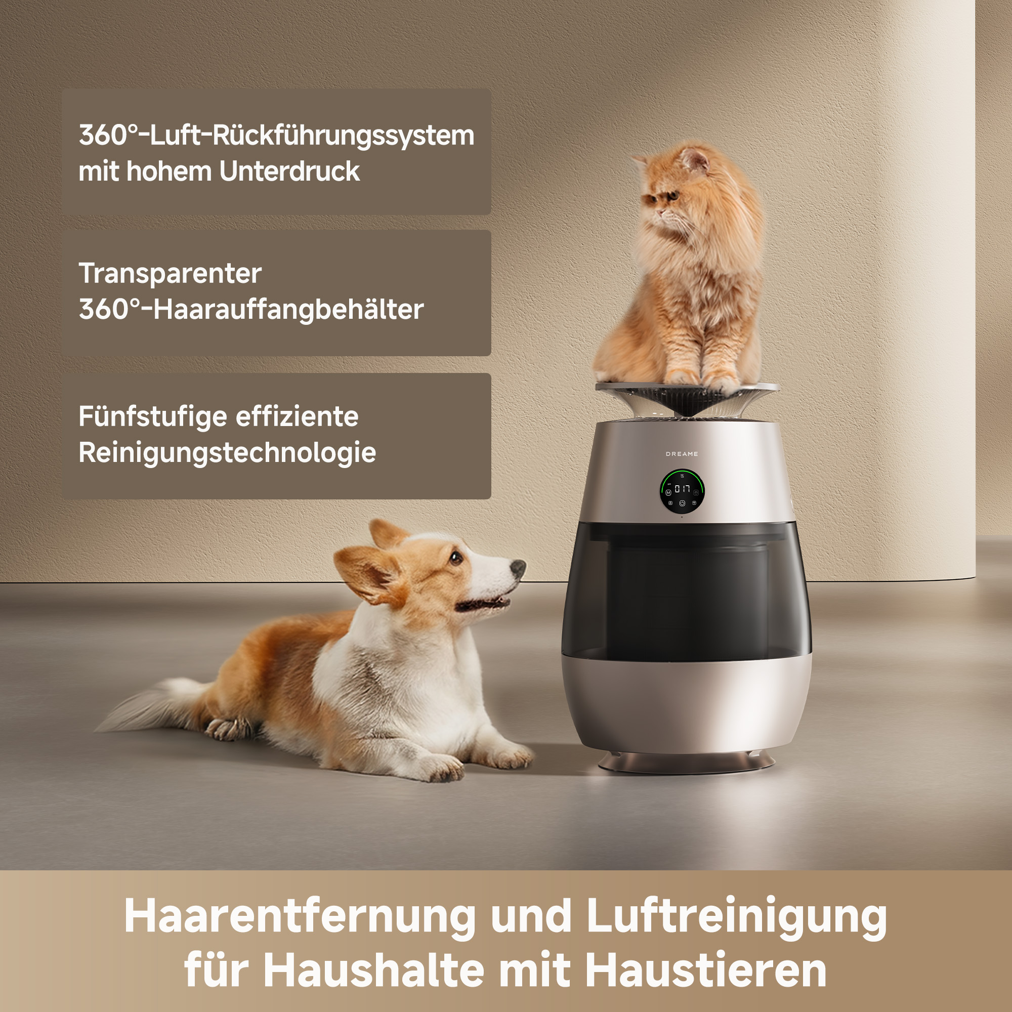 Ein Corgi liegt neben einem Luftreiniger mit einer Katze darauf.