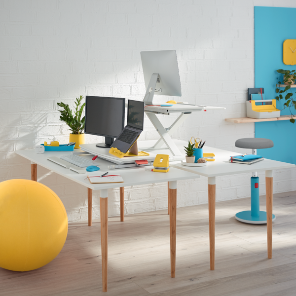 Ein helles Büro mit zwei Schreibtischen, Computern, Laptops, Pflanzen und einem gelben Ball.