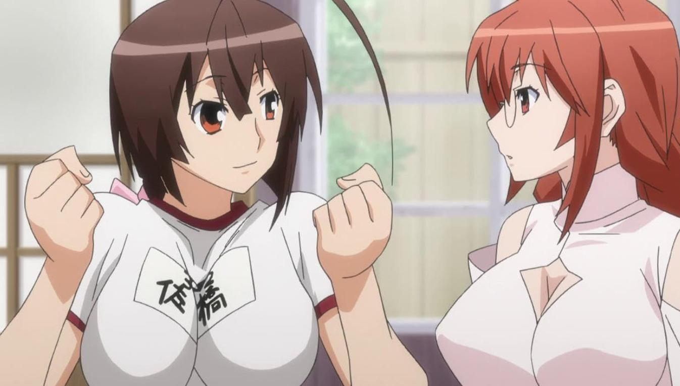 Zwei Anime-Mädchen mit braunem und rotem Haar stehen nebeneinander.