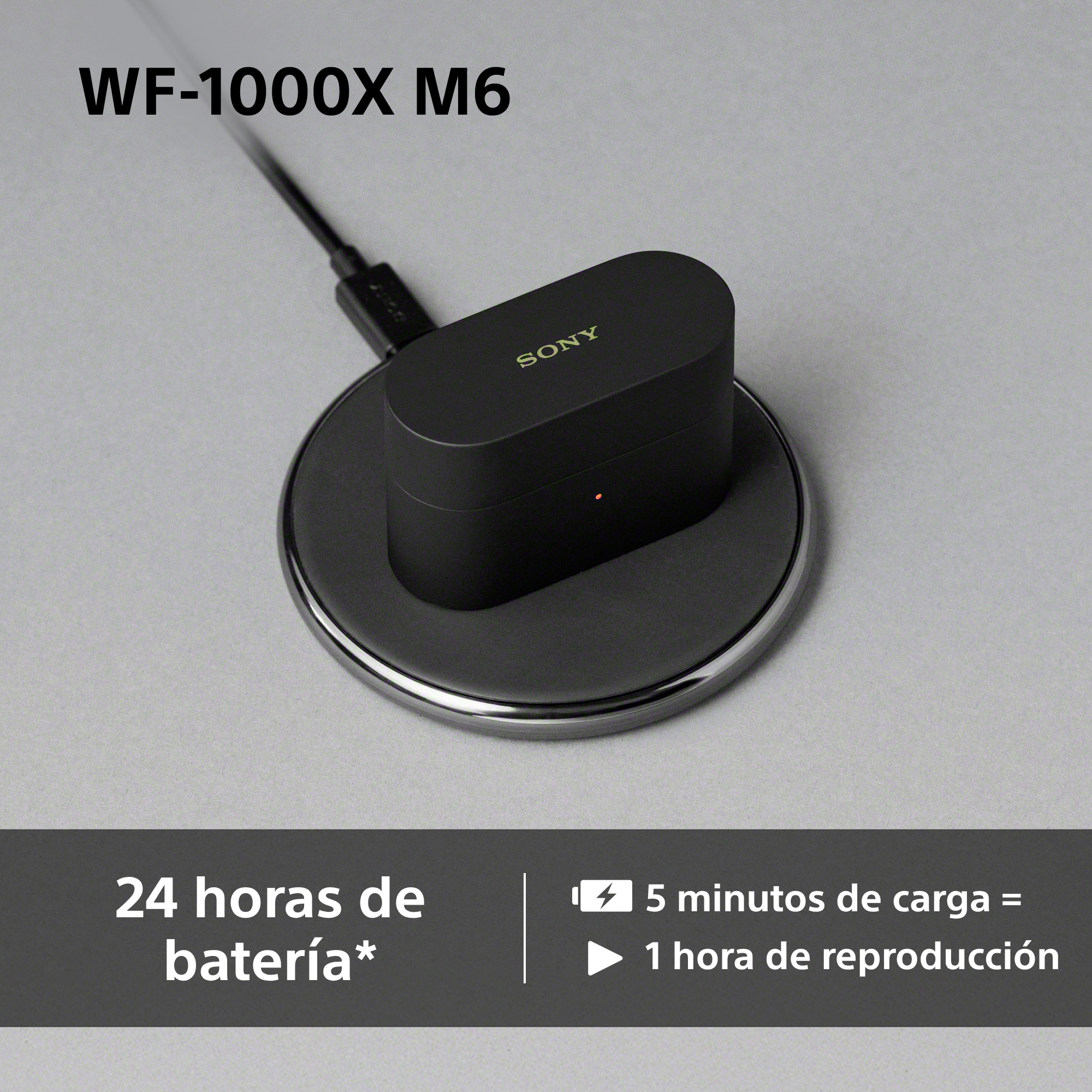 24 horas de batería* 5 minutos de carga = 1 hora de reproducción