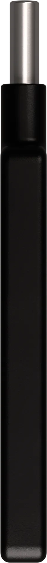 Eine schwarze Wasserflasche mit silbernem Deckel.