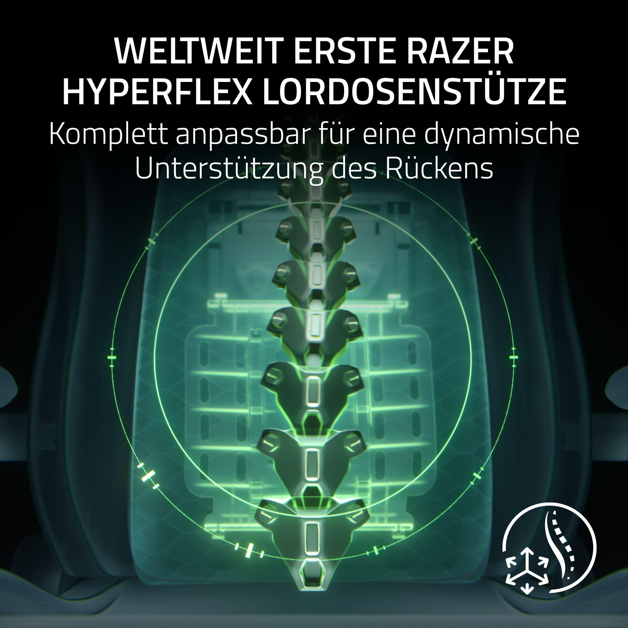Grüne Wirbelsäulen-Grafik mit Text, die eine Lordosenstütze zeigt.