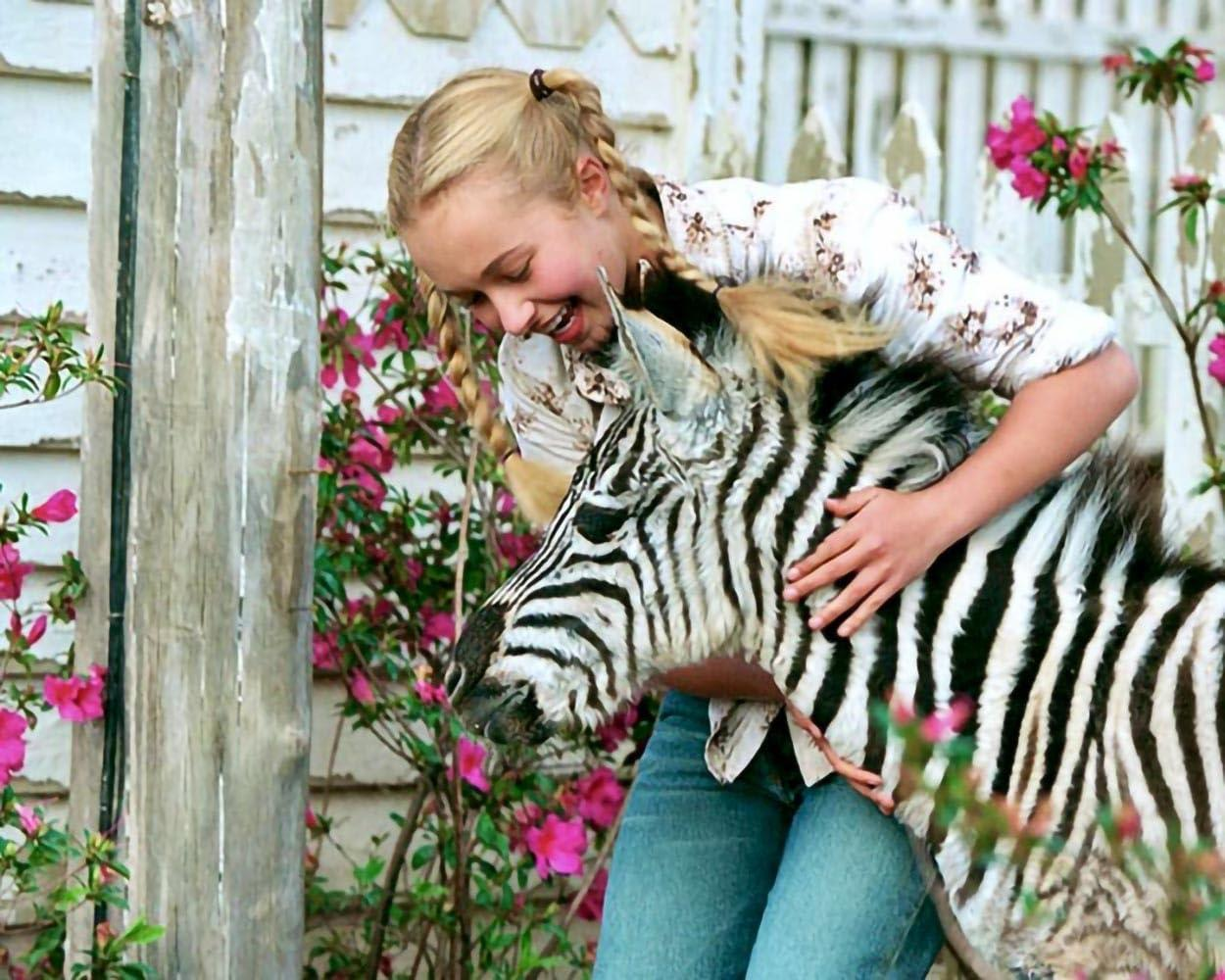 Ein Mädchen umarmt ein Zebra vor einem weißen Zaun und rosa Blumen.