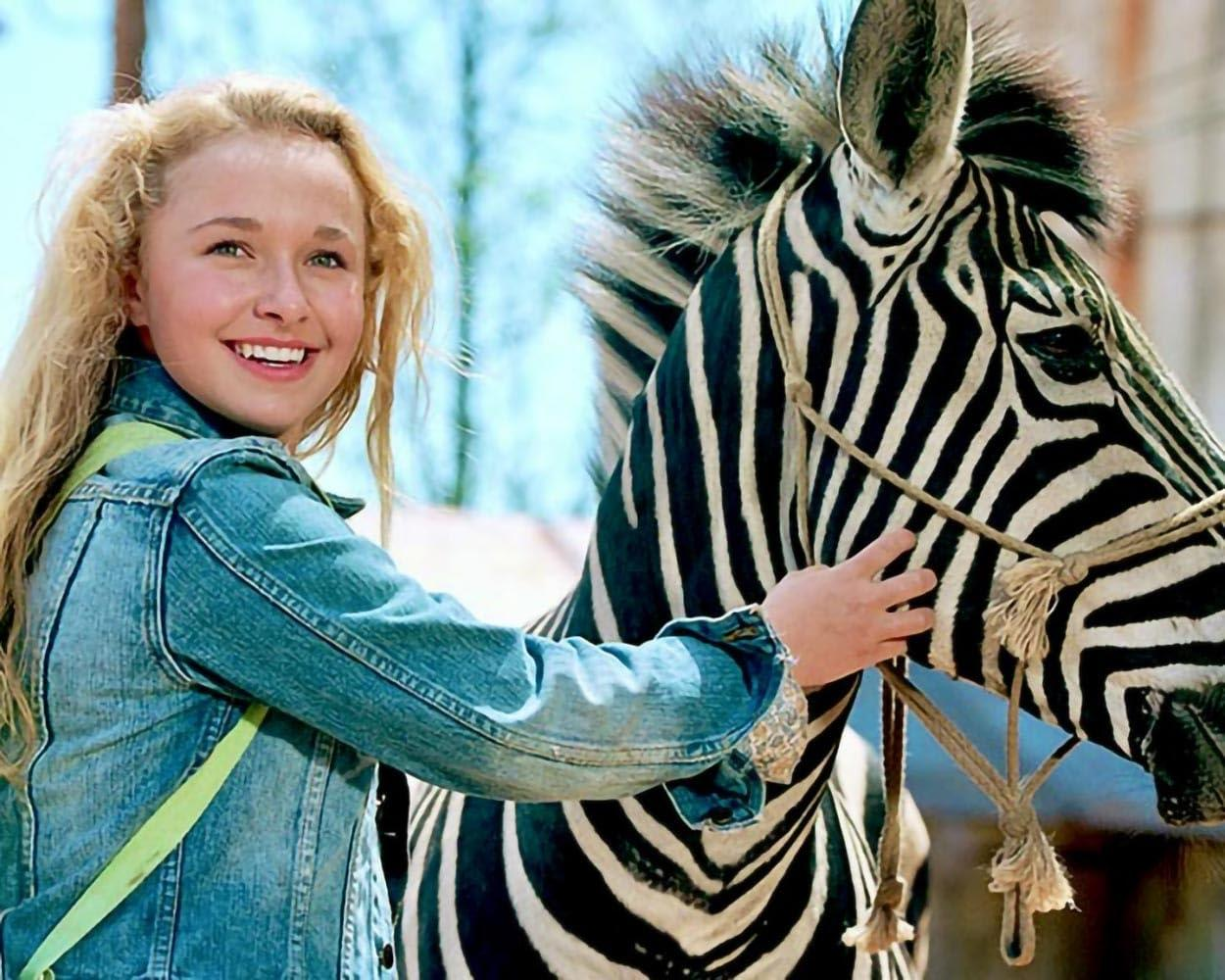 Ein Mädchen mit blonden Haaren streichelt ein Zebra im Freien.